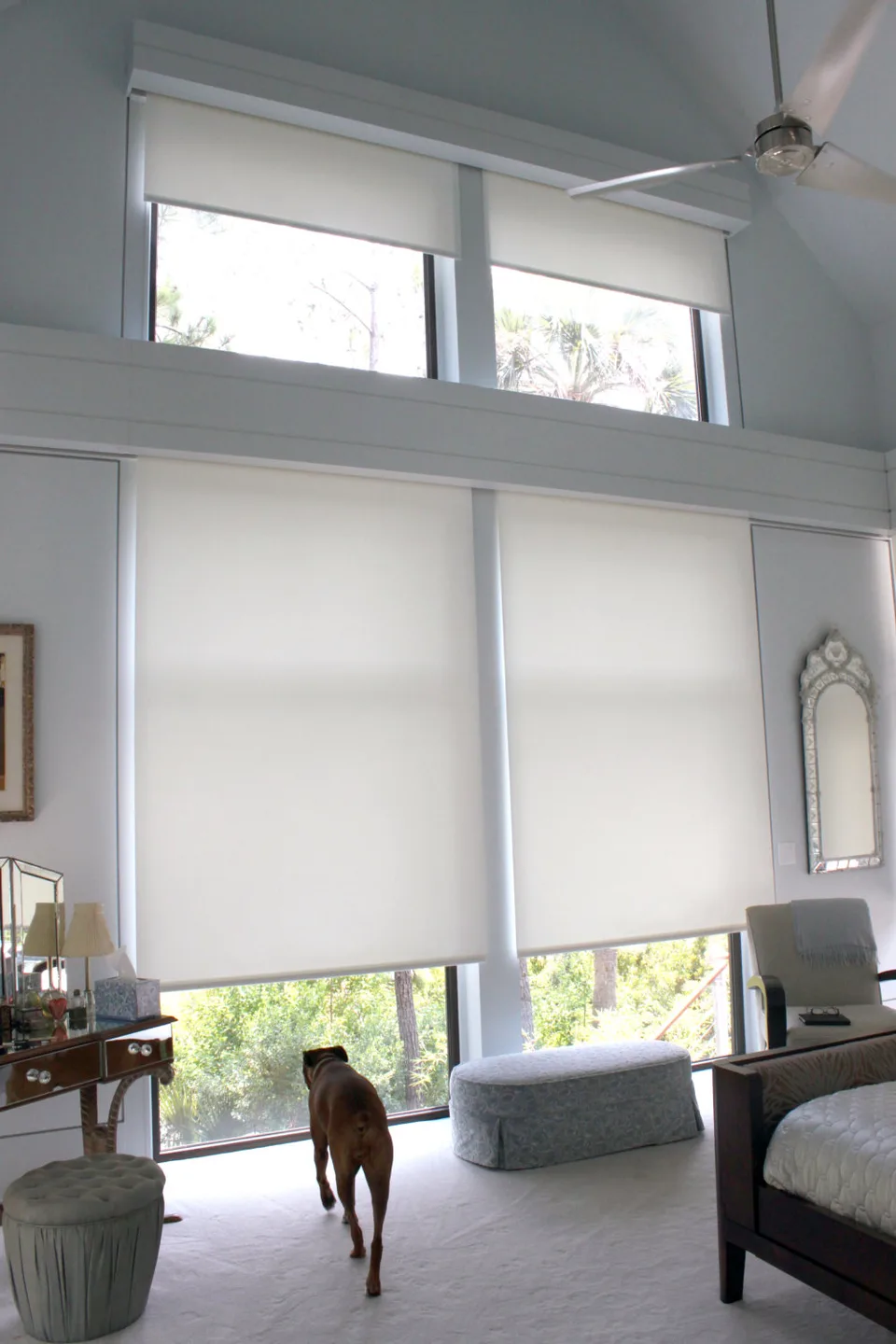 Insolroll translucent roller shades softening daylight in a bedroom